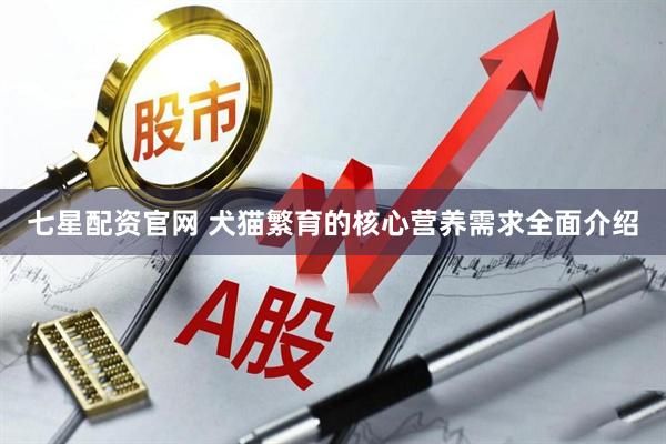 七星配资官网 犬猫繁育的核心营养需求全面介绍