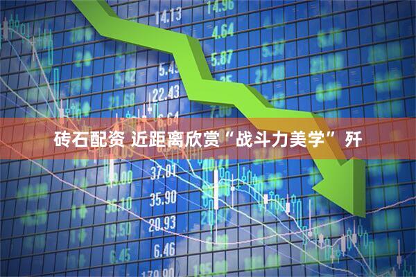 砖石配资 近距离欣赏“战斗力美学” 歼