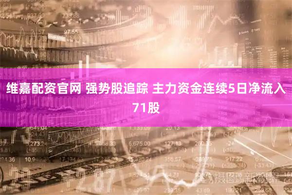 维嘉配资官网 强势股追踪 主力资金连续5日净流入71股