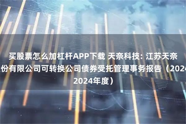 买股票怎么加杠杆APP下载 天奈科技: 江苏天奈科技股份有限公司可转换公司债券受托管理事务报告（2024年度）
